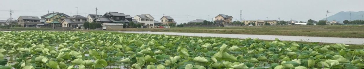 Etienne Lehoux-Jobin